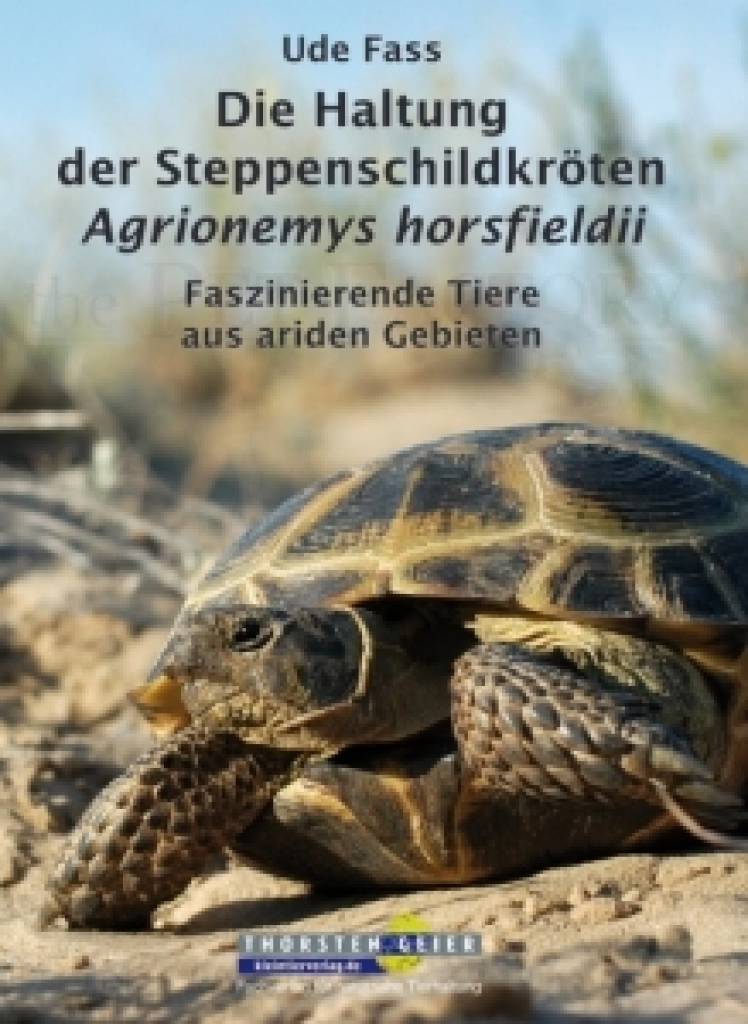 Steppenschildkröten Agrionemys horsfieldii